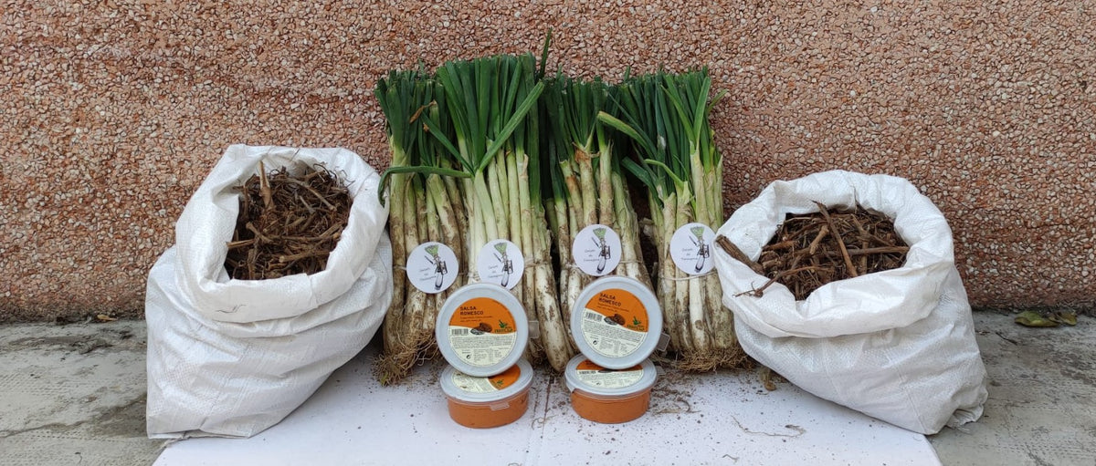 Sarmientos de pura cepa para asar calçots