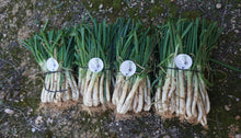 Cargar imagen en el visor de la galería, 200 Calsots de Tarragona con IGP calçot de Valls